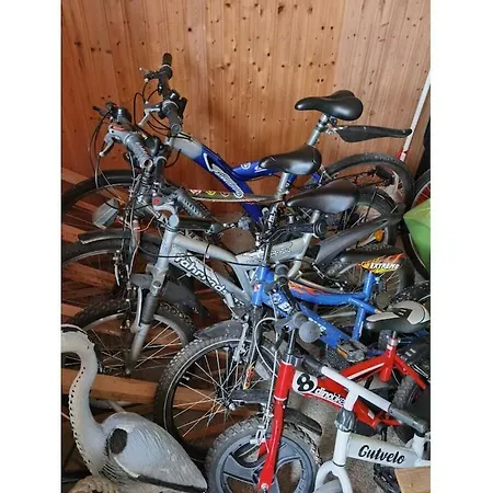 Richter In Comfortable Prázdninový dům Allrode