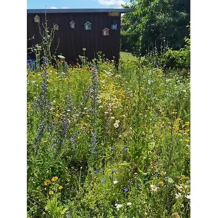 Prázdninový dům Richter In Comfortable *