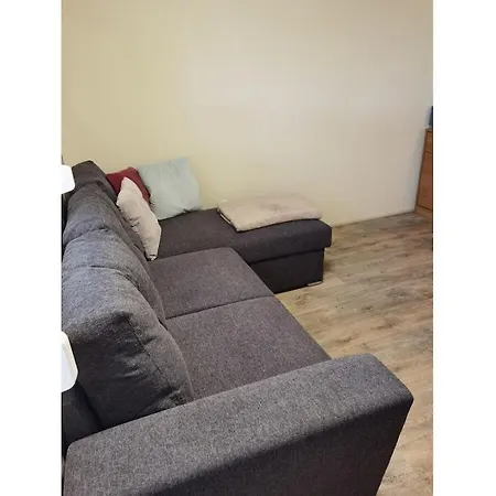 Richter In Comfortable Feriehus Allrode