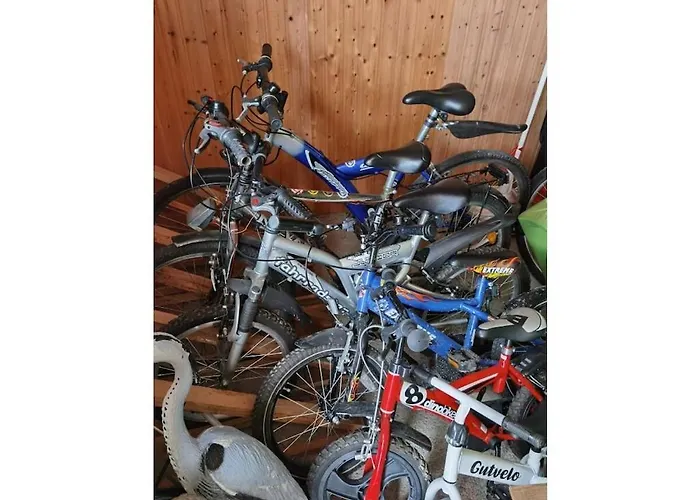 Richter In Comfortable Ferienhaus Allrode