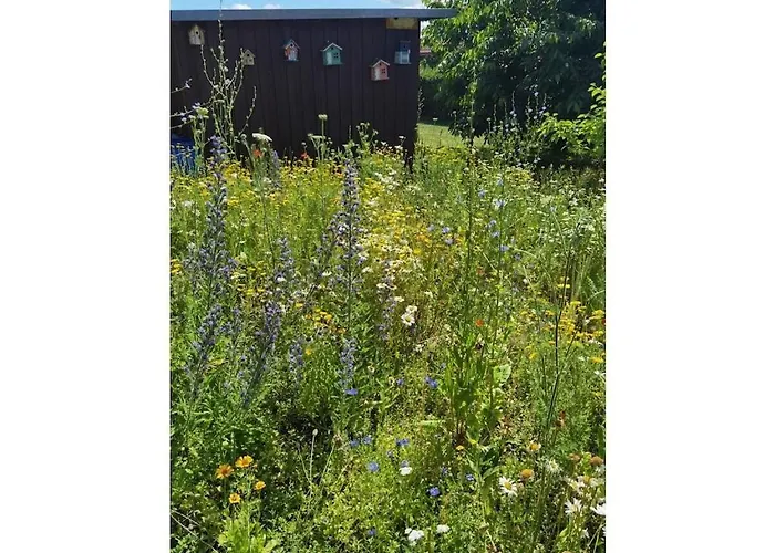 Σπίτι διακοπών Richter In Comfortable *